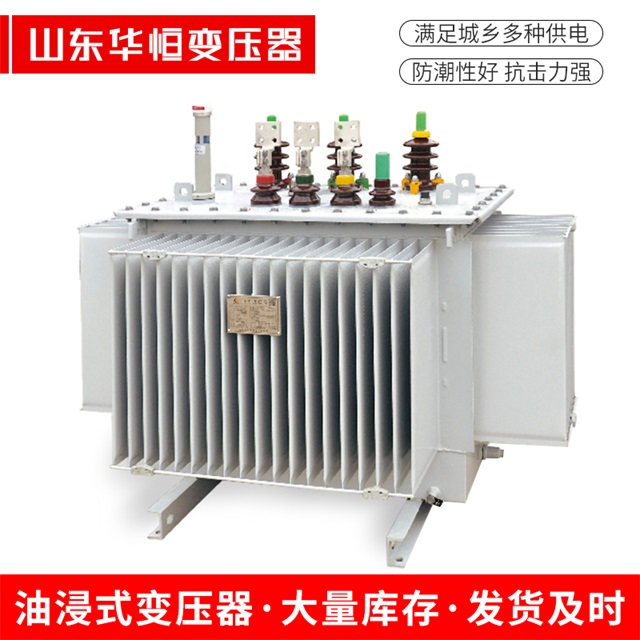 S13-10000/35六枝特六枝特六枝特电力变压器